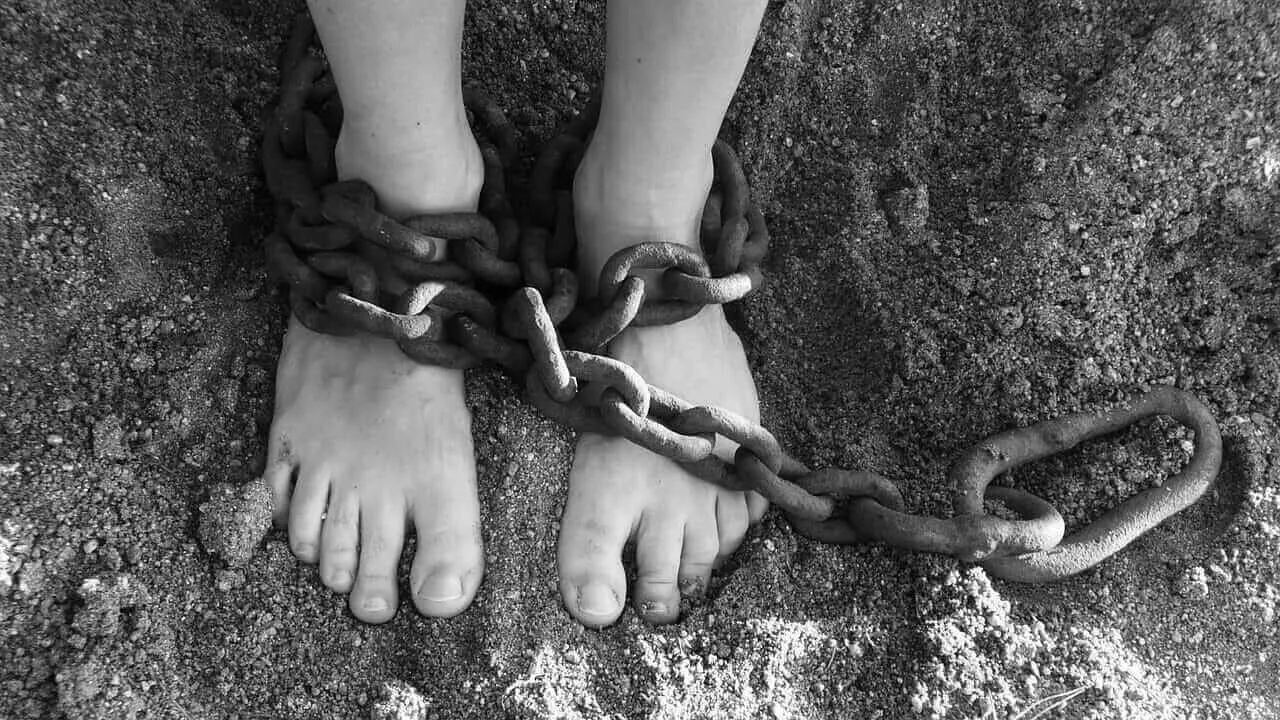 Juvenile Delinquency Lawyer in Brandon Florida