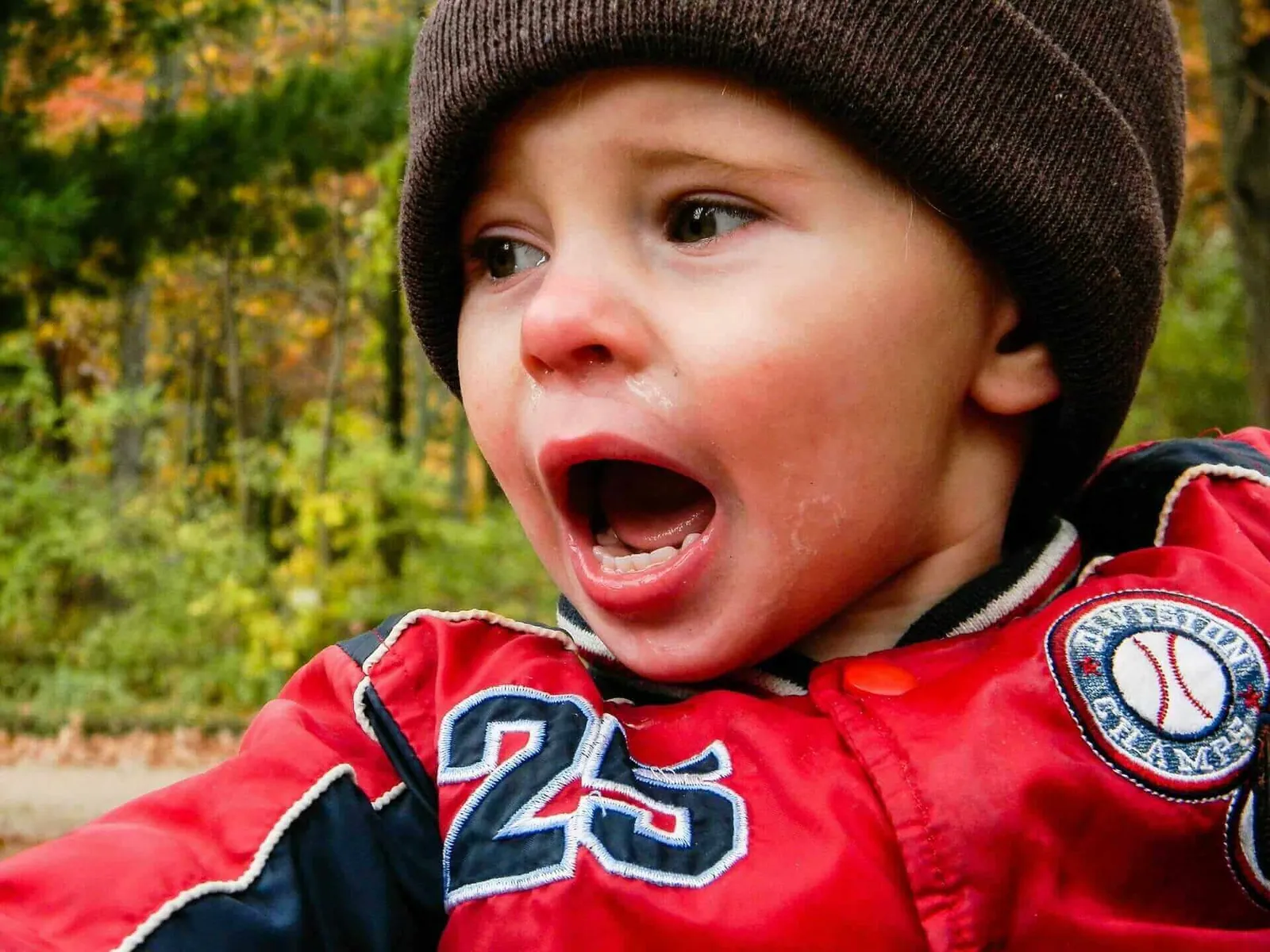 time-sharing Divorce Custody Brandon Legal Group 