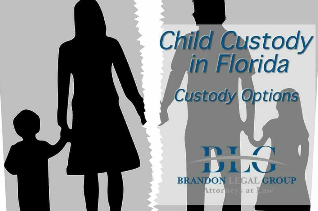 Florida custody options