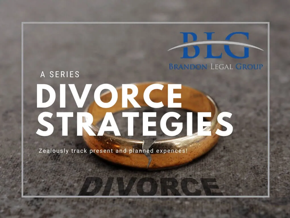 Divorce Strategies Expenses