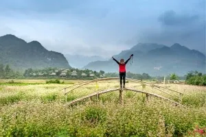 Renewing and rebuilding your life after divorce