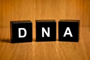 Dna: The definitive Guide to Paternity 