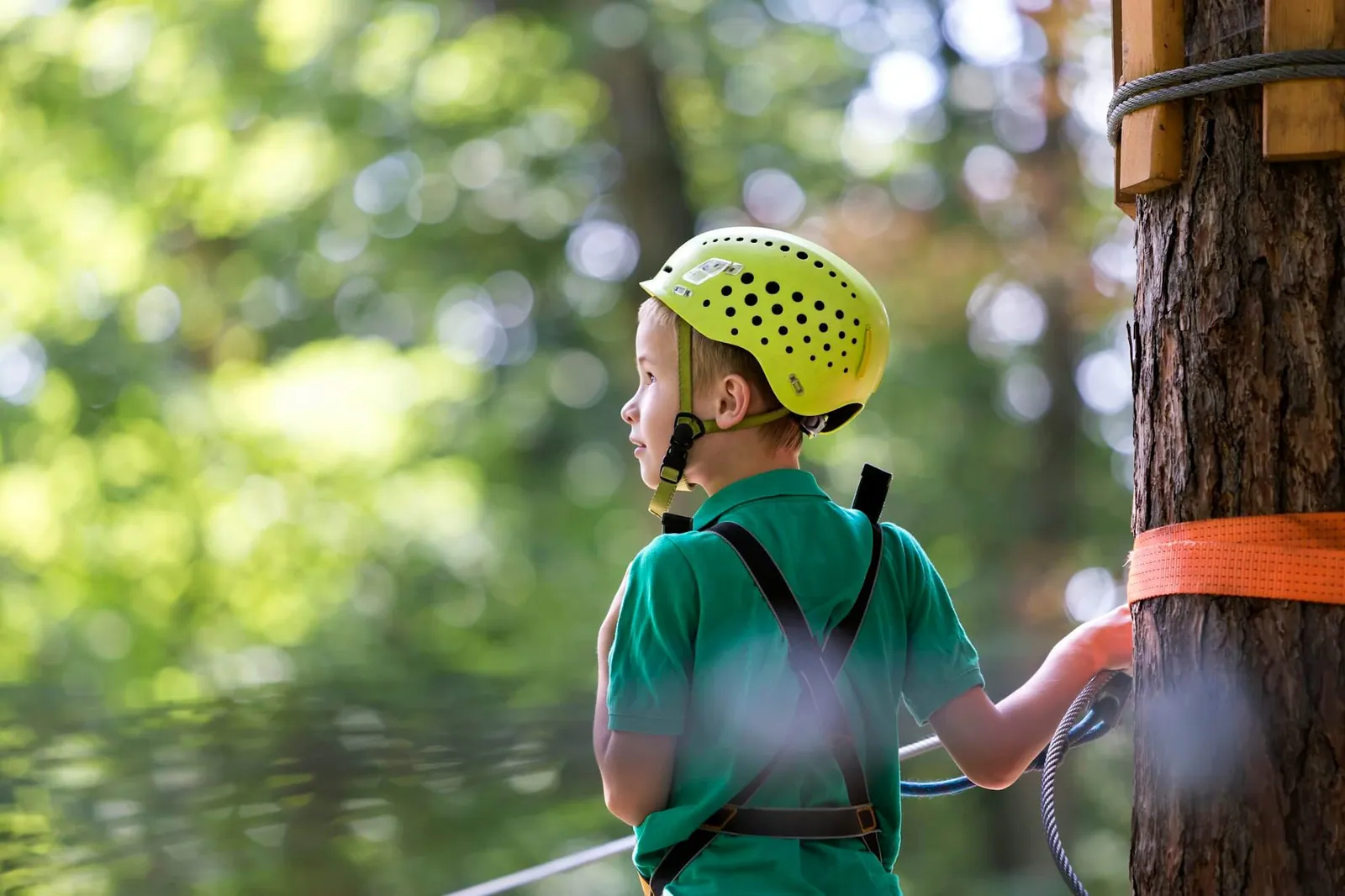  best interests of child florida